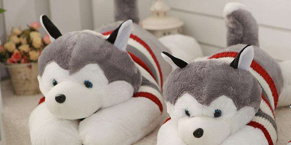 淺談寵物用品批發的發展趨勢